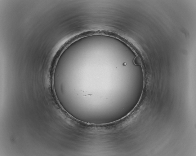 X0000115670927200911121150