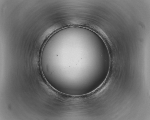 X0000115670930200911121150