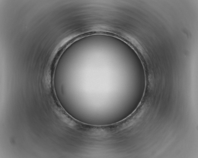 X0000115670931200911121150