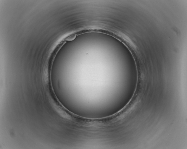 X0000115670934200911121150