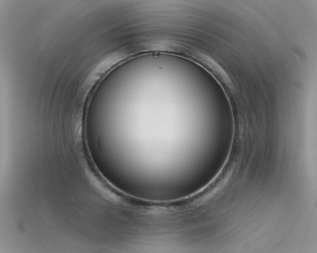 X0000115670938200911121150