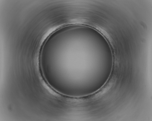 X0000115670941200911121150