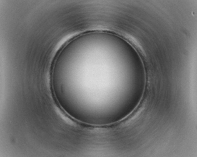X0000115670942200911121150