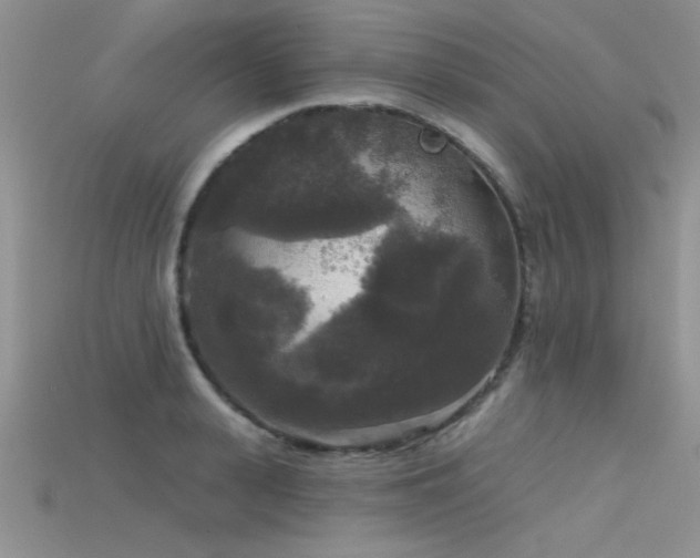 X0000115670943200911121150