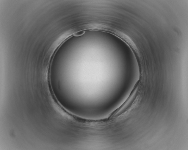 X0000115670946200911121150