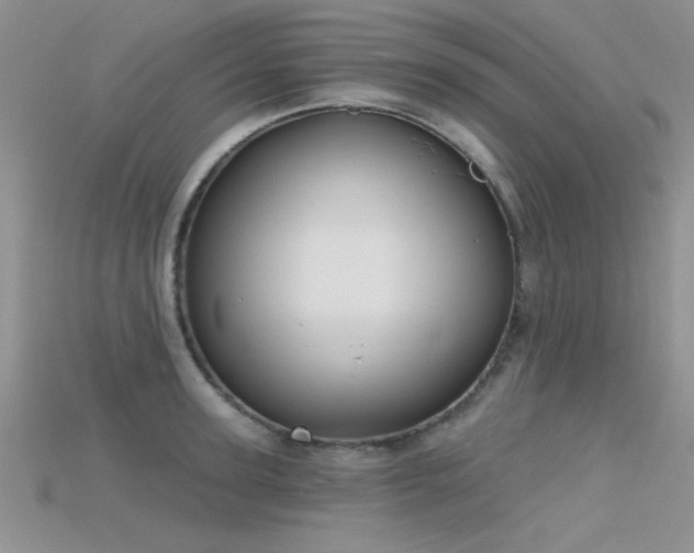 X0000115670947200911121150