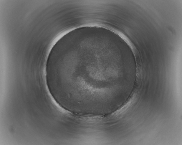 X0000115670951200911121150