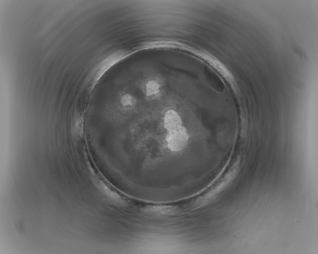 X0000115670953200911121150