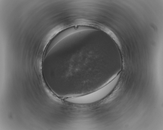 X0000115670954200911121150