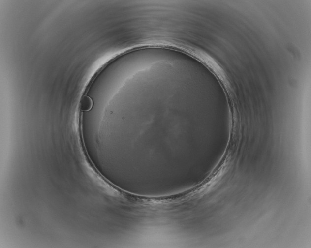 X0000115670958200911121150