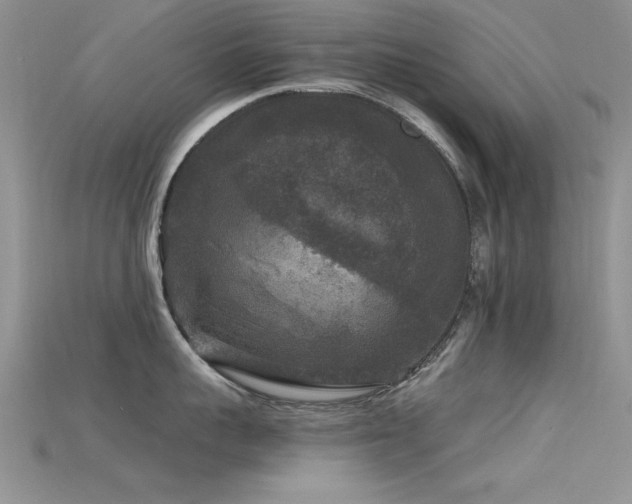 X0000115670959200911121150