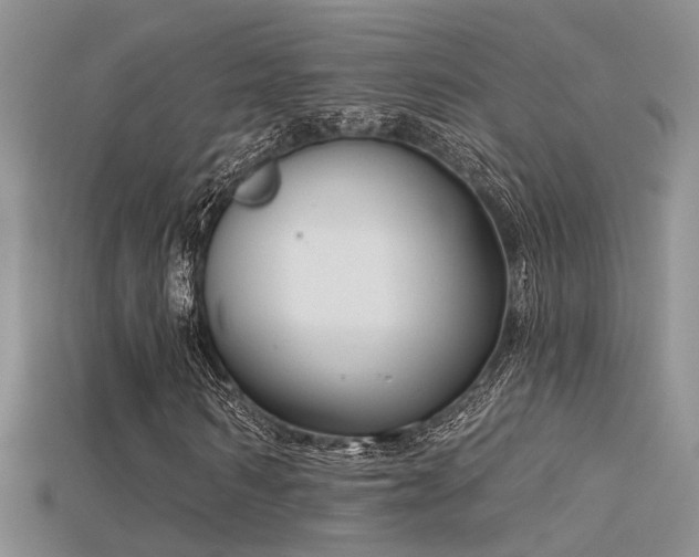 X0000115670962200911121149