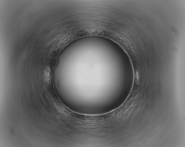 X0000115670963200911121149