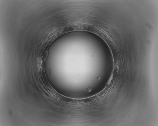 X0000115670964200911121149
