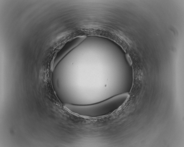 X0000115670965200911121149