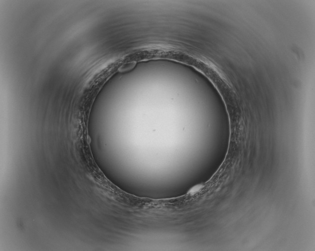 X0000115670967200911121149