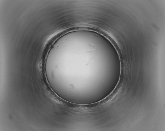 X0000115670971200911121149