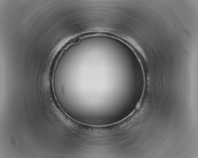 X0000115670972200911121149