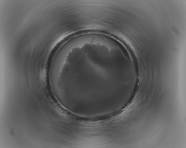 X0000115670975200911121149
