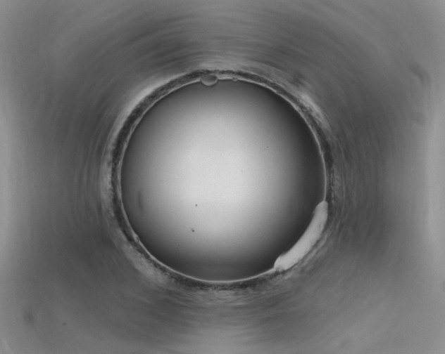 X0000115670976200911121149