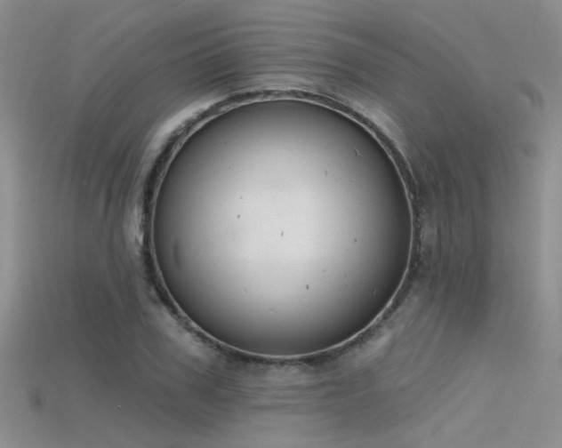 X0000115670979200911121149
