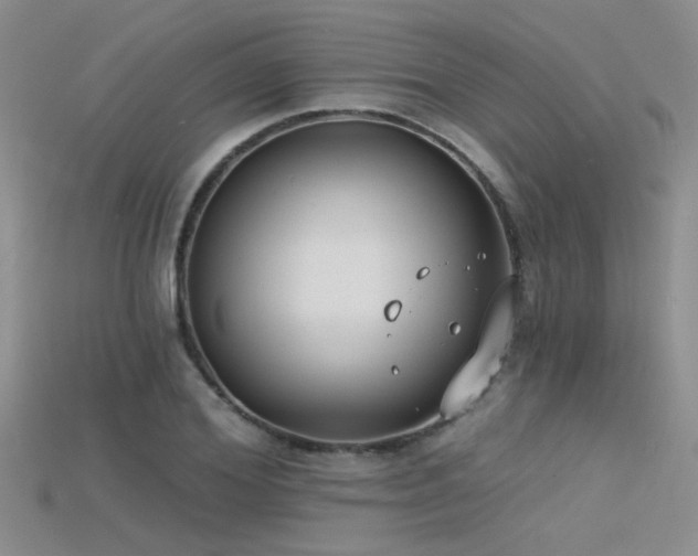 X0000115670980200911121149