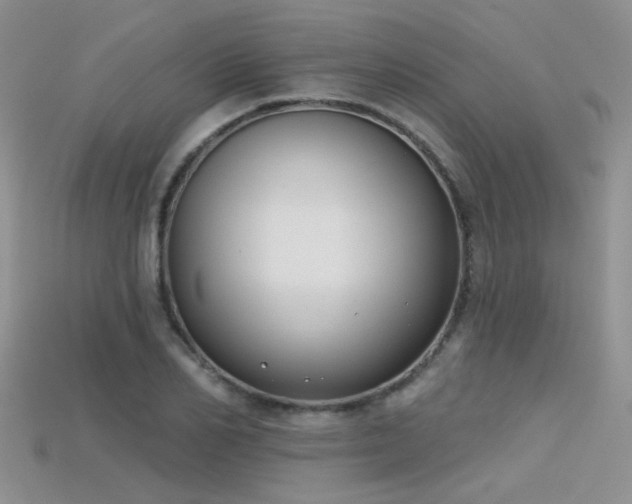 X0000115670982200911121149