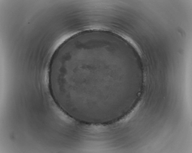 X0000115670983200911121149
