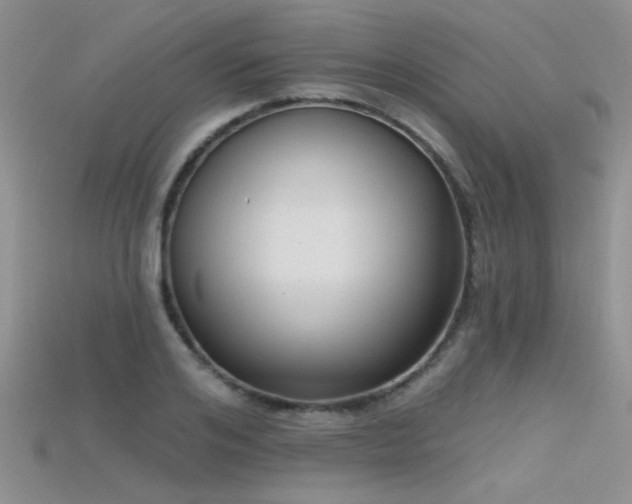 X0000115670984200911121149
