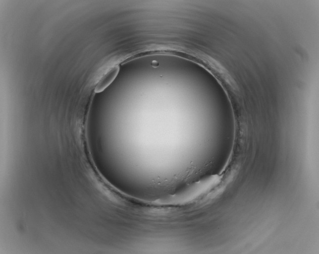 X0000115670985200911121149