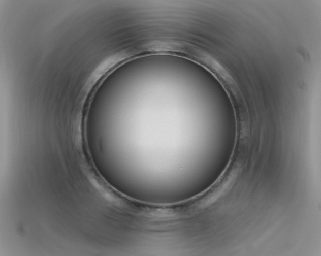 X0000115670986200911121149