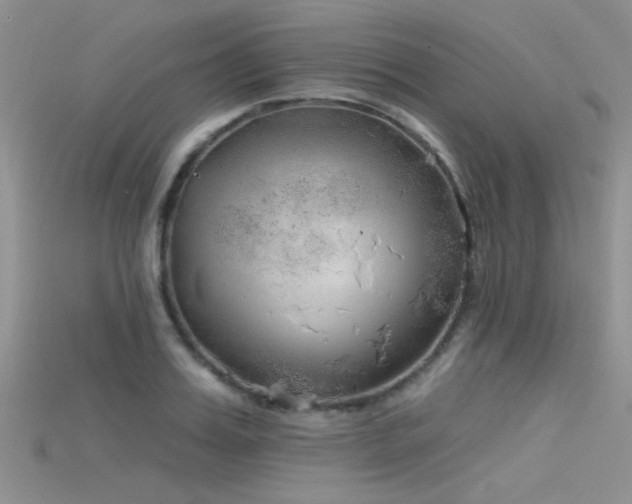 X0000115670987200911121149