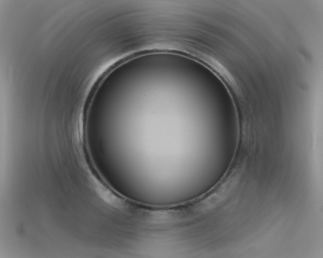 X0000115670988200911121149