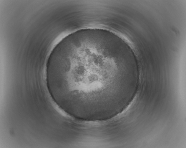 X0000115670990200911121149