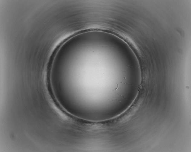 X0000115670991200911121149