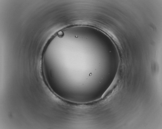 X0000115670992200911121149