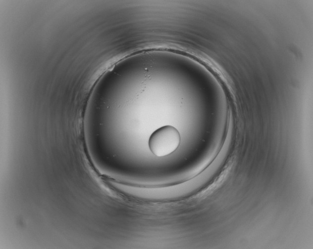 X0000115670993200911121149