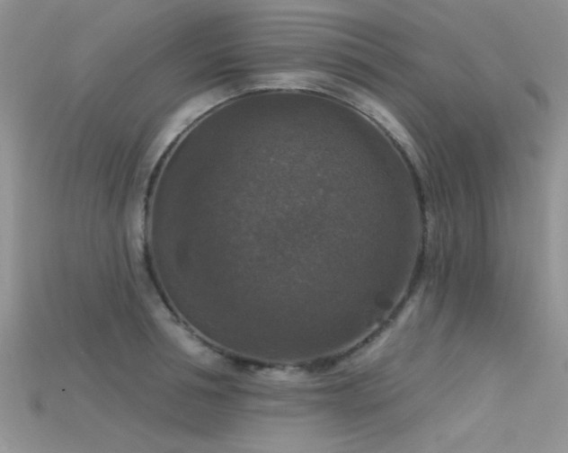 X0000115670994200911121149