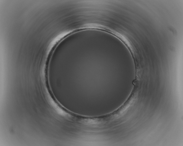 X0000115670995200911121149