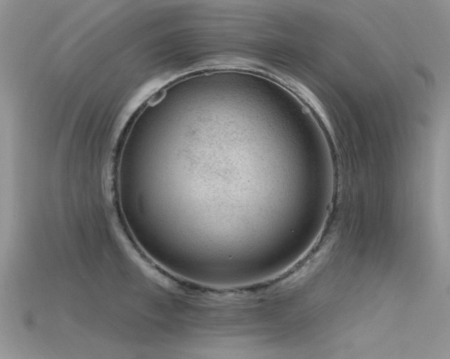 X0000115670997200911121149
