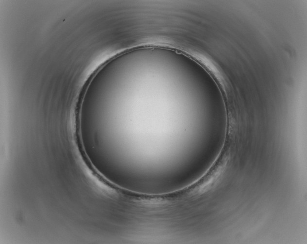 X0000115670999200911121149