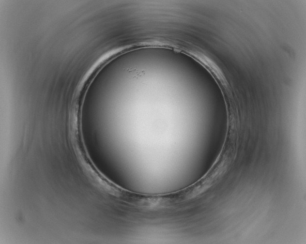 X0000115671000200911121149