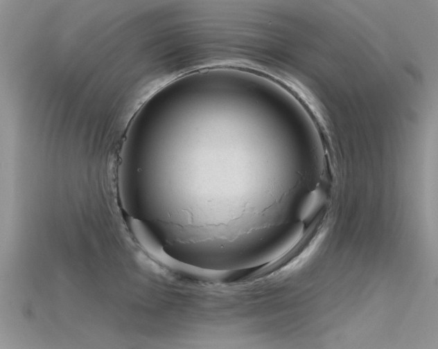 X0000115671001200911121149