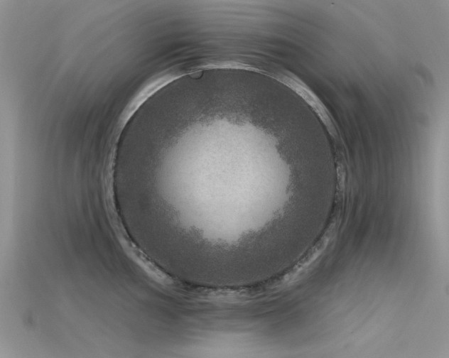 X0000115671002200911121149
