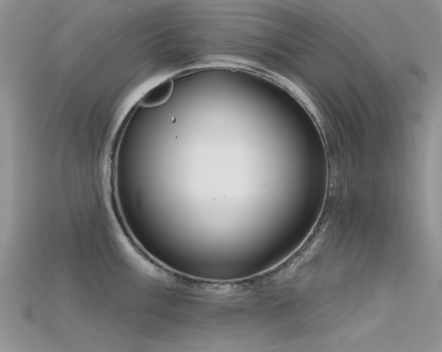 X0000115671003200911121149