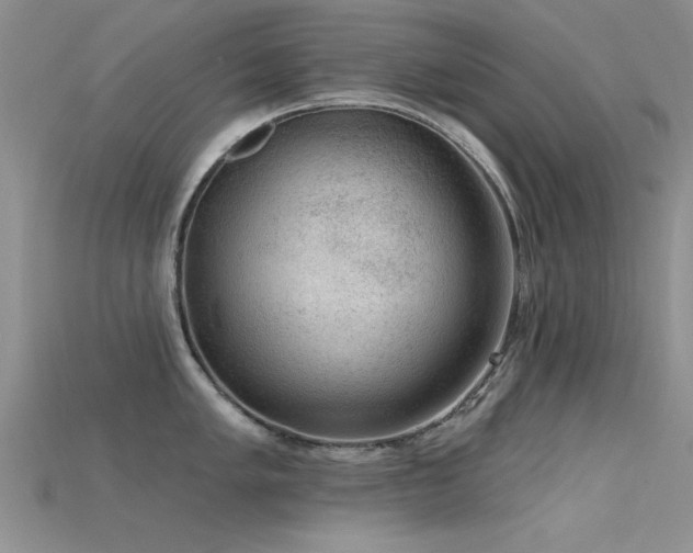 X0000115671005200911121149