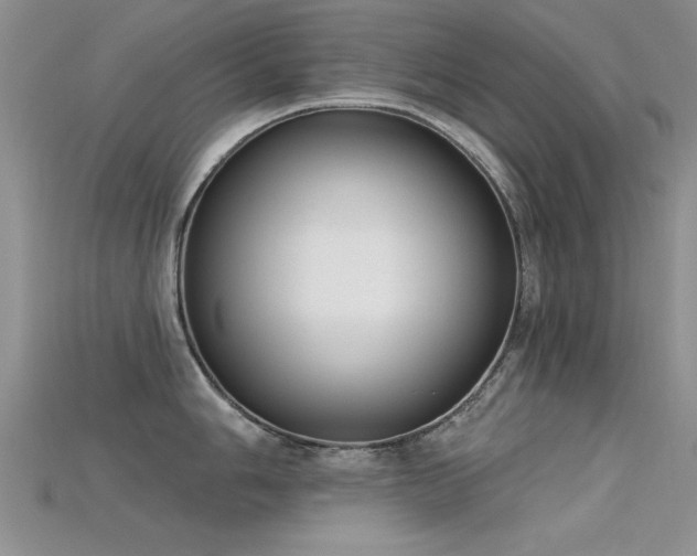 X0000115671006200911121149