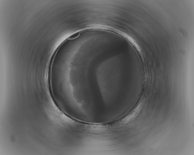 X0000115671007200911121149