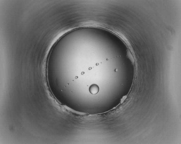 X0000115671008200911121149