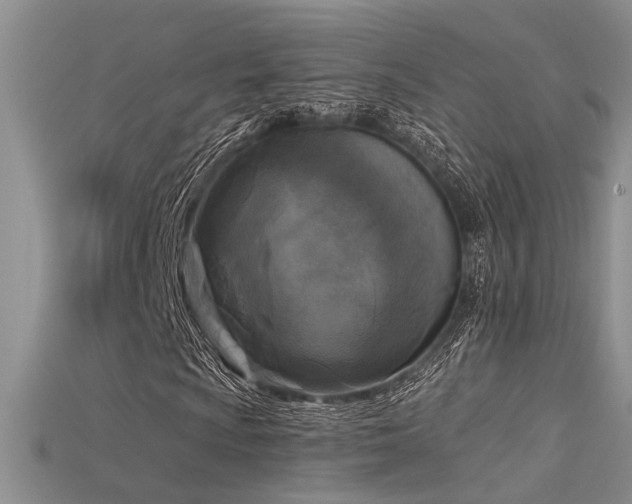 X0000115671009200911121148
